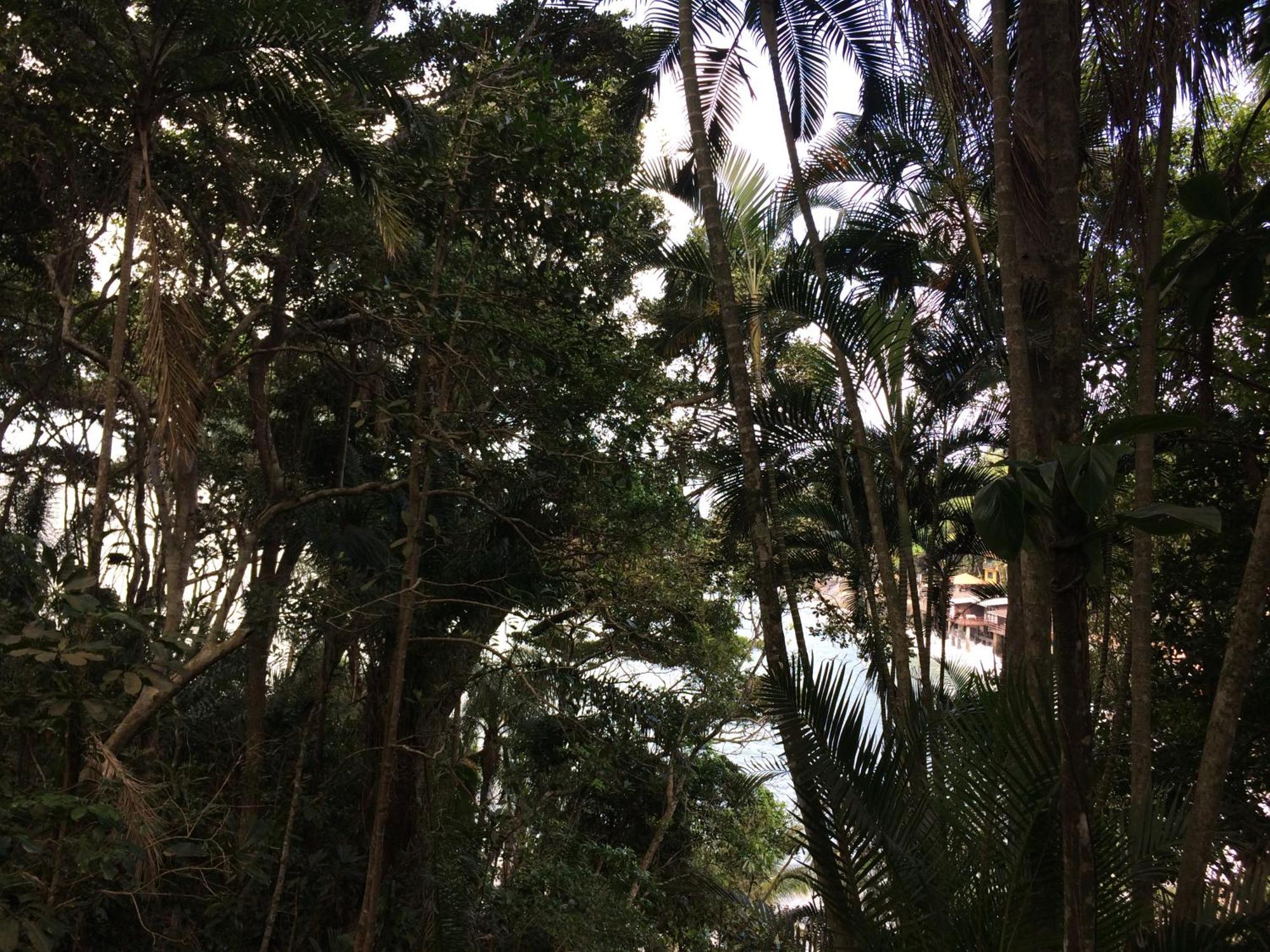 Sorocotuba 2 - Enseada Apartment Guaruja Luaran gambar
